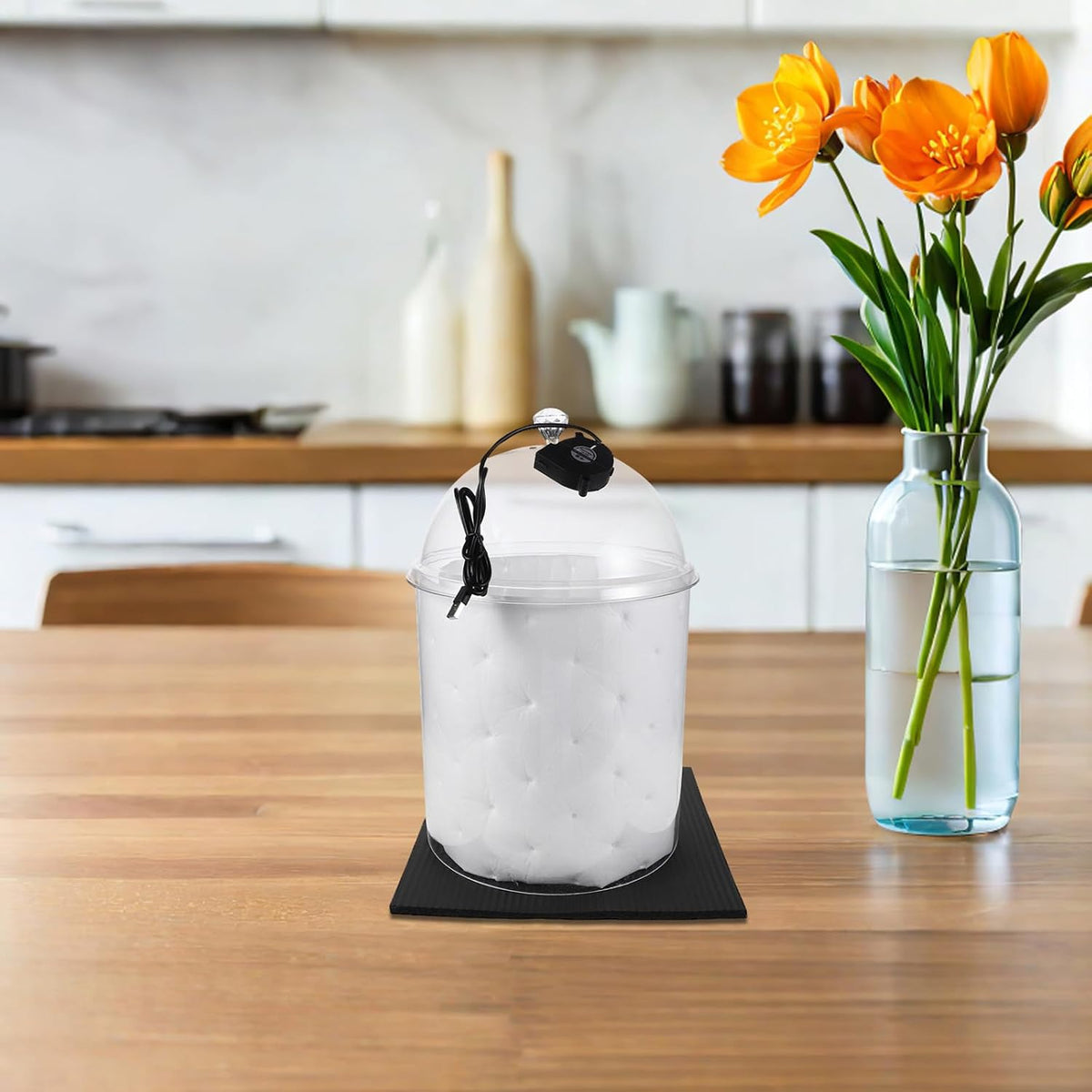 Acrylic Blender Sound Reduction Cover
